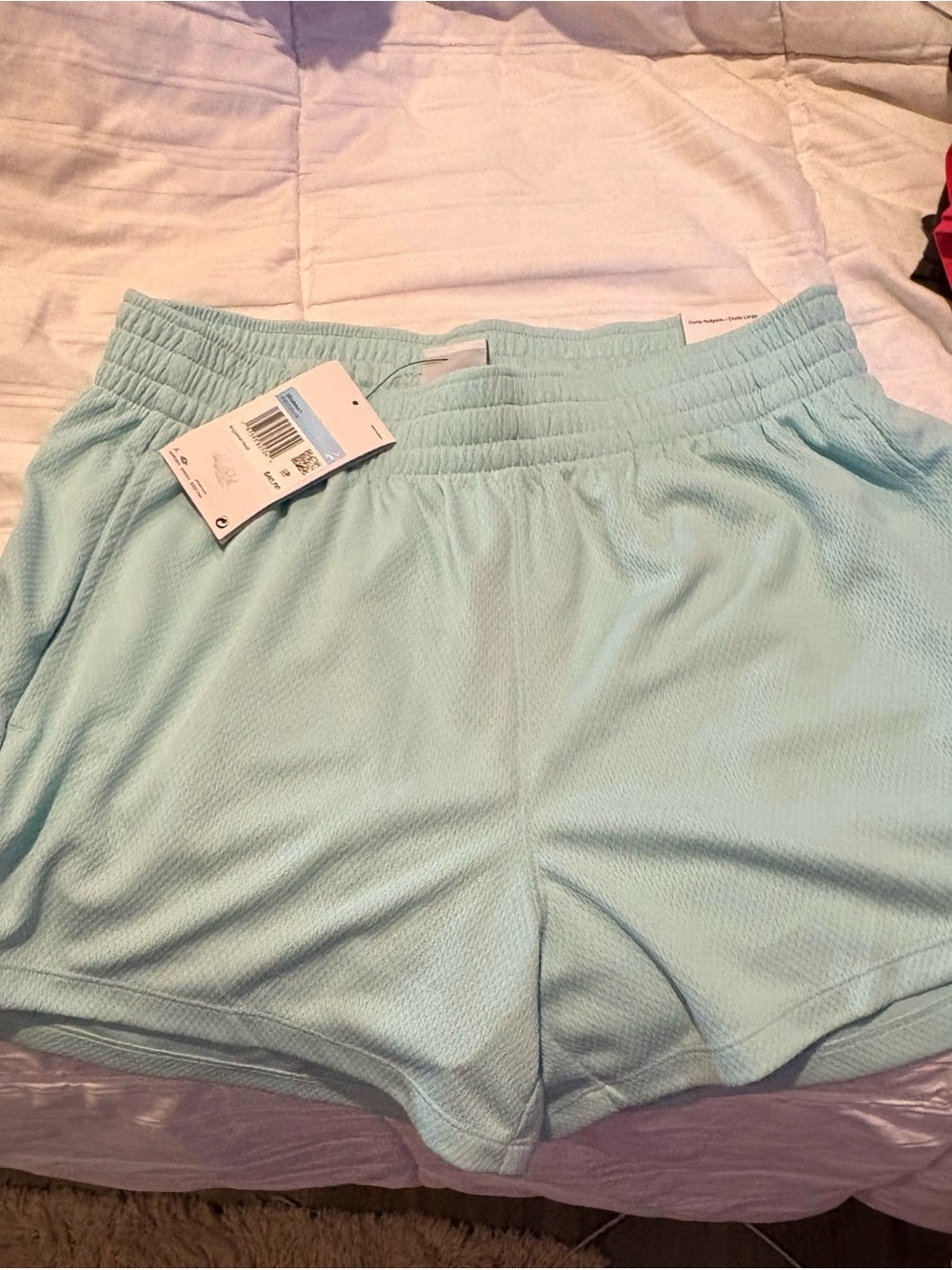 Jordan Women's Sage Athletic Shorts with Elastic Waist